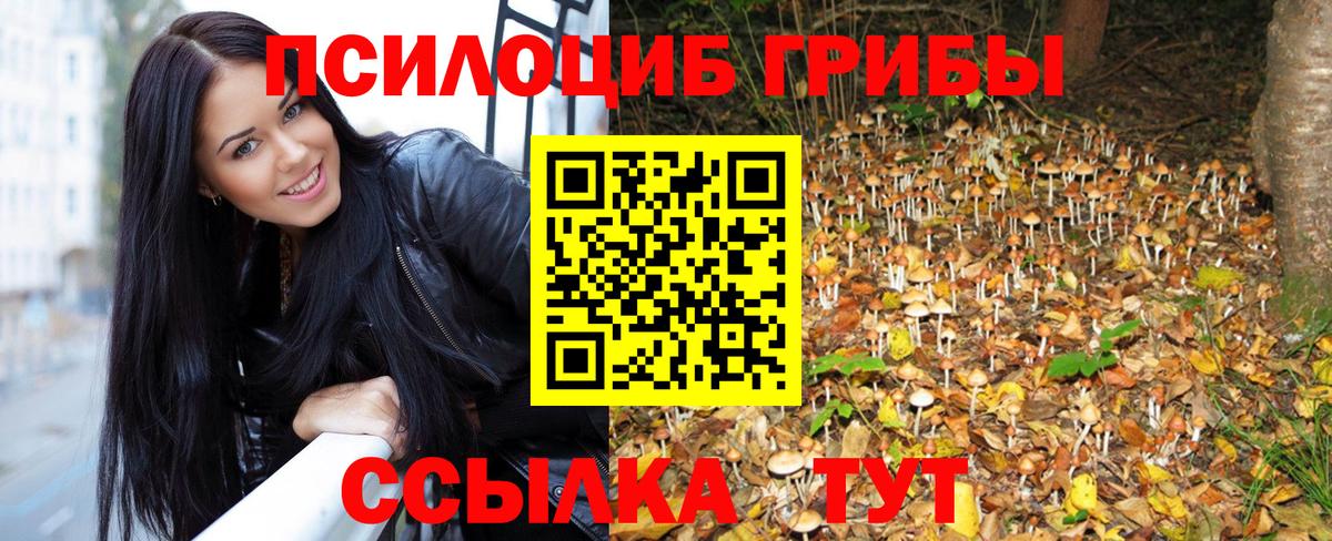 Галлюциногенные грибы Psilocybine cubensis Семёнов