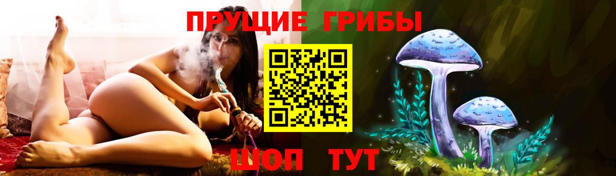 Семёнов  Галлюциногенные грибы MAGIC MUSHROOMS  Вход с VPN 